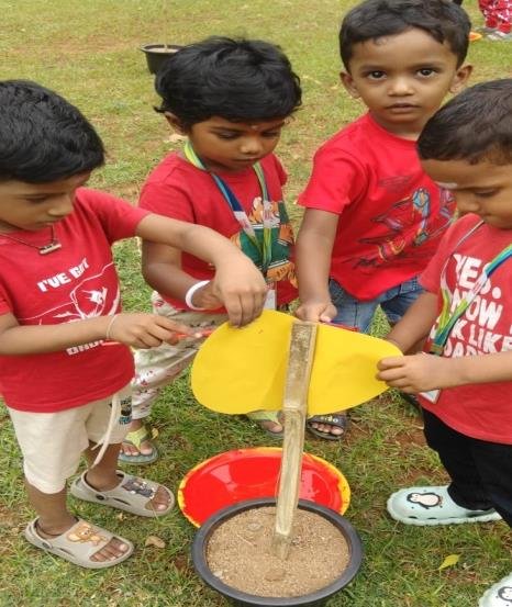 Colours Day Celebration - Gallery Photo 5
