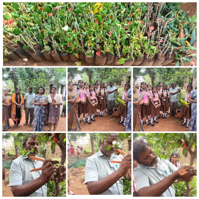 WhatsApp Image 2024-05-10 at 14.14.55_05116edf